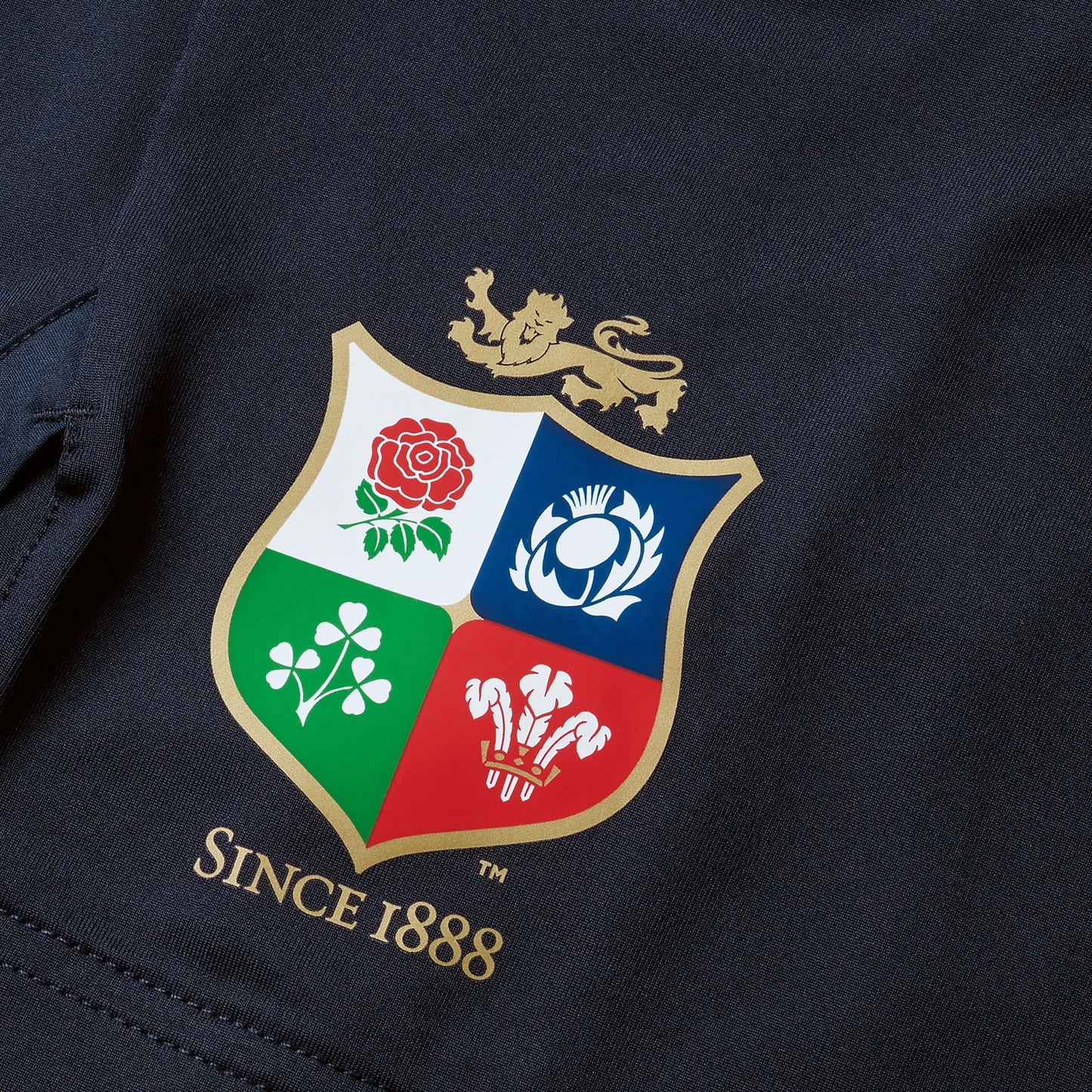 British & Irish Lions Gym Training Shorts