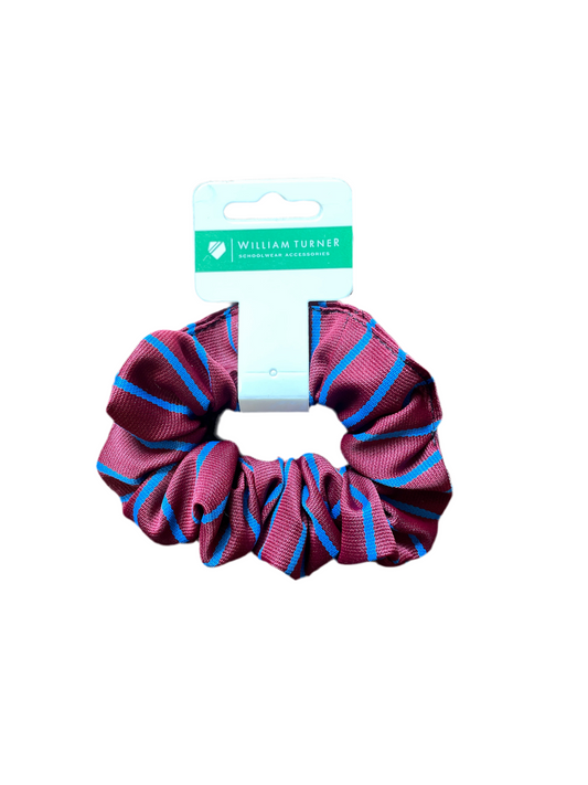 Ballyoran Primary School Scrunchie