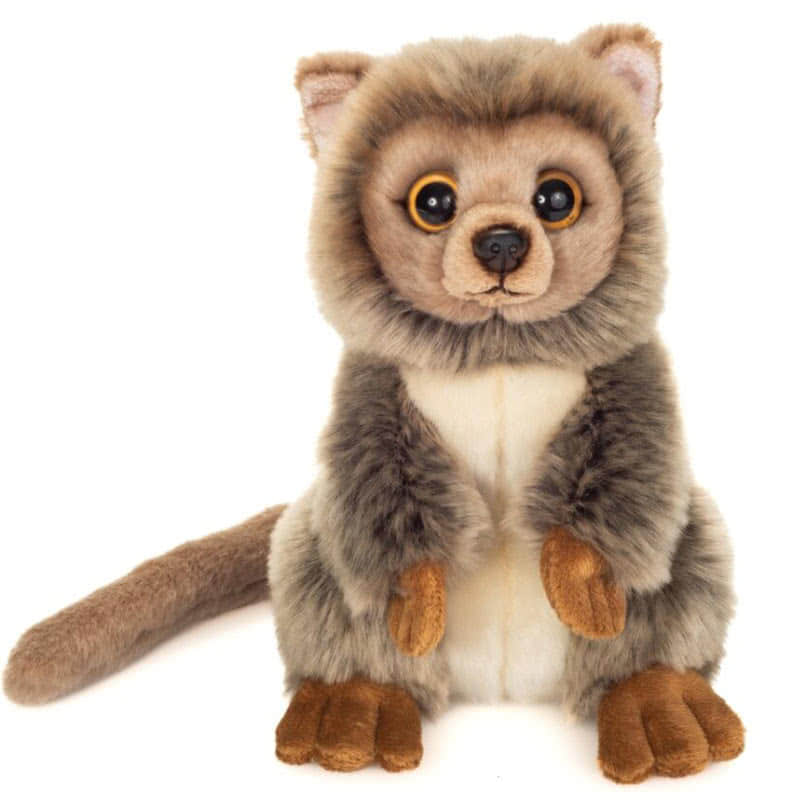 Hermann Mouse Lemur