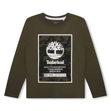 Timberland Boys Sweatshirt T25U27