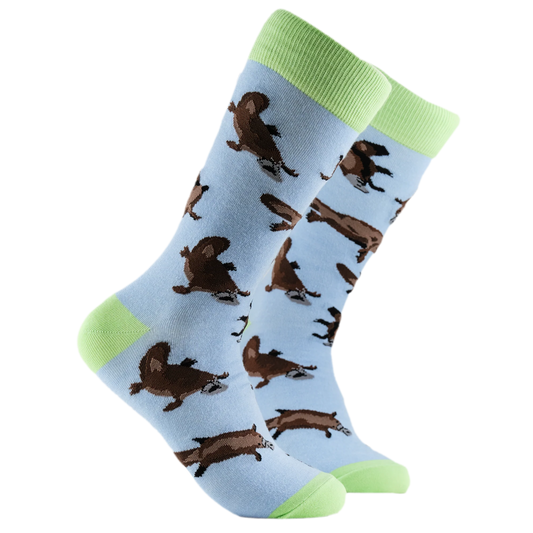 Soctopus Splatypus Socks