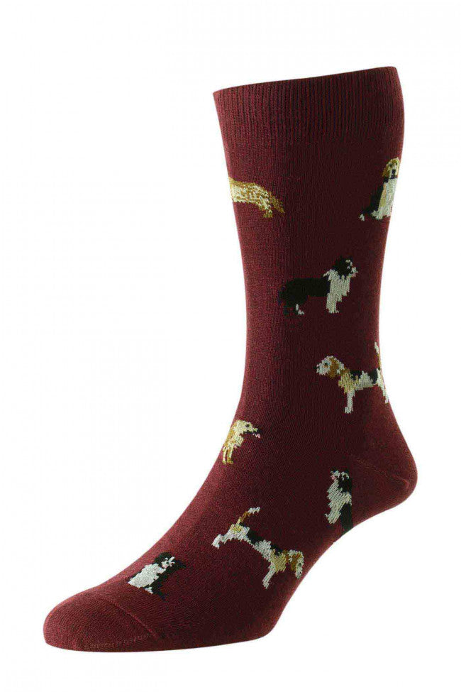 HJ Hall Country Dog Socks 67