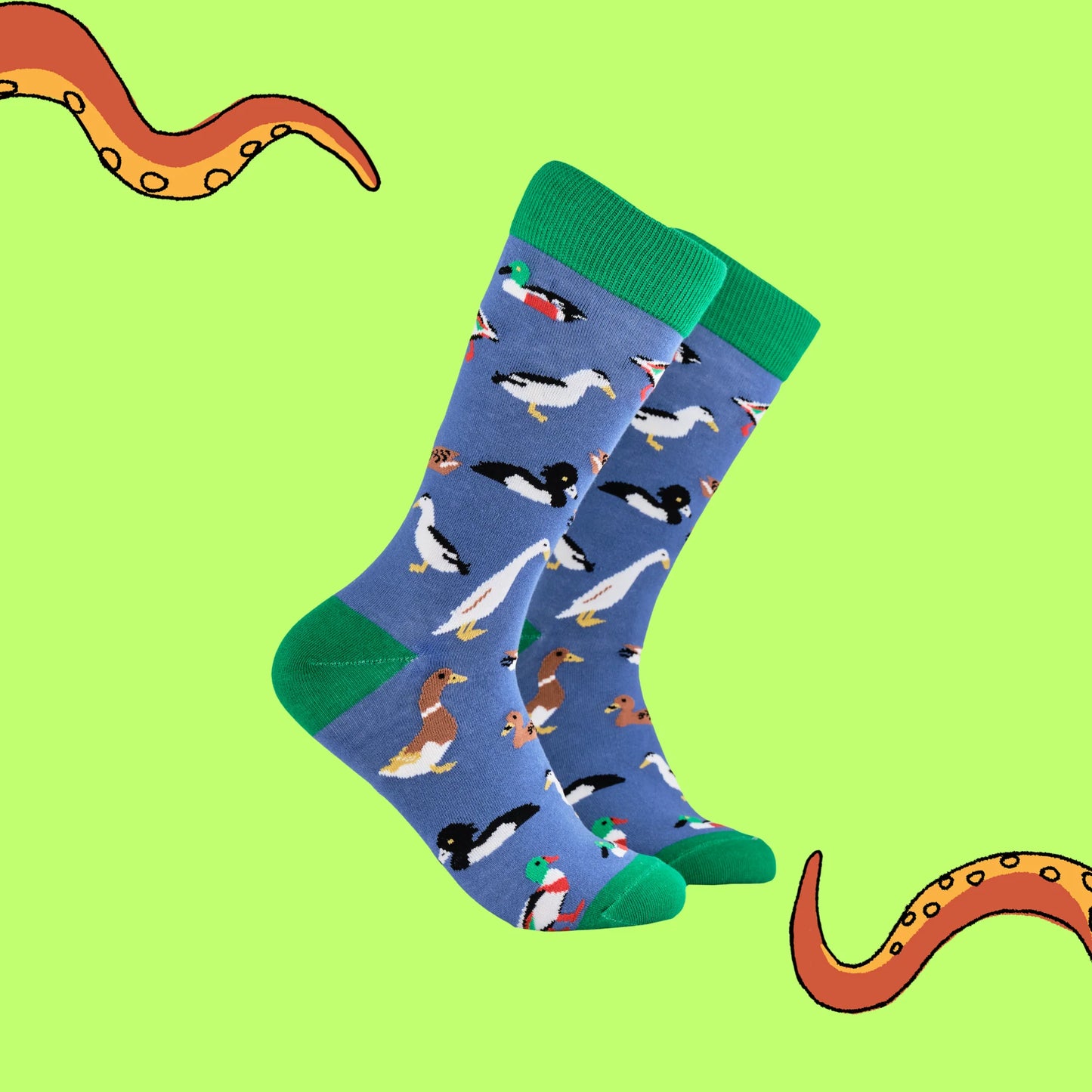 Soctopus Duck Socks