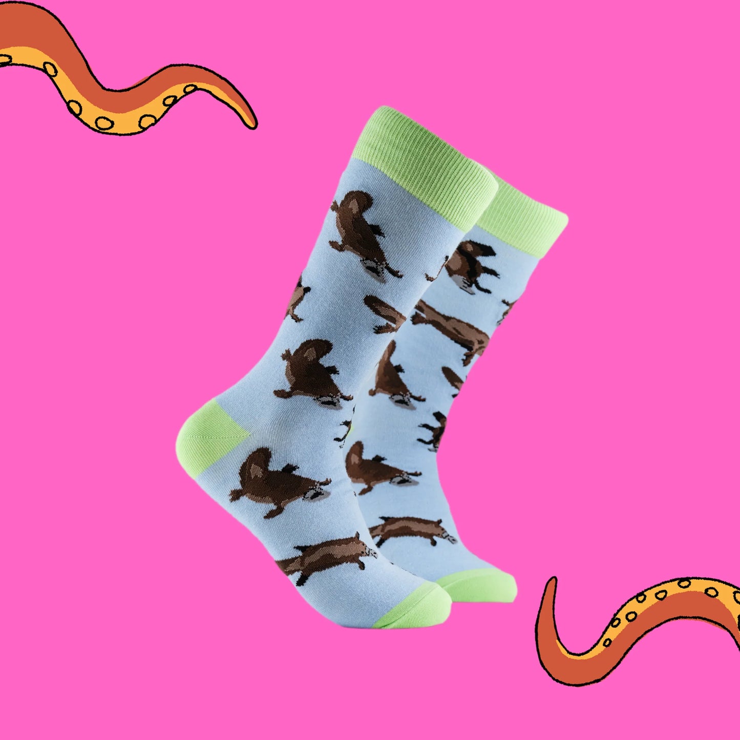 Soctopus Splatypus Socks