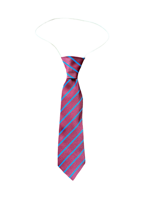 Ballyoran Primary School Elastic Tie