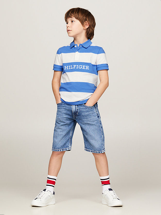 Tommy Hilfiger Boys Monotype Colour-Blocked Regular Fit Polo