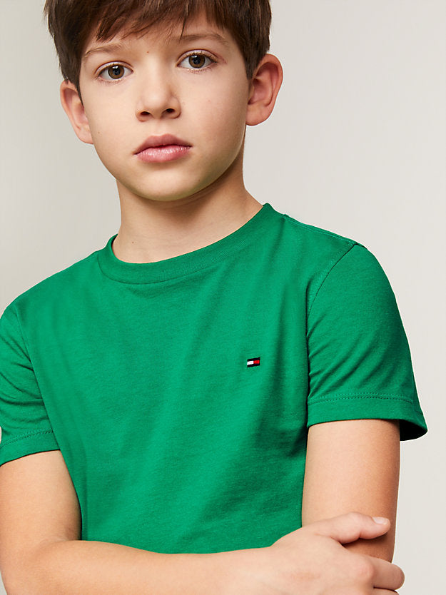 Tommy Hilfiger Boys Essential Flag Embroidery Tee