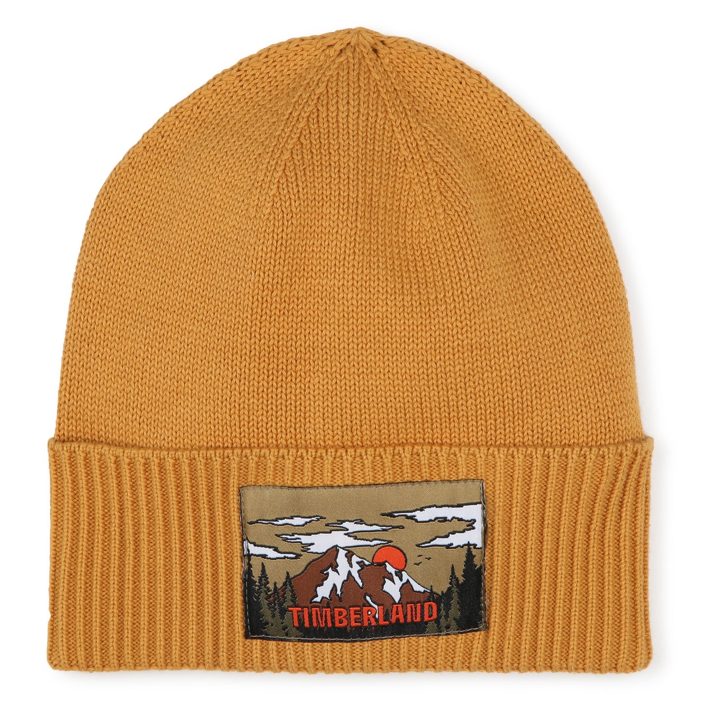 Timberland Boys Beanie Hat T60362