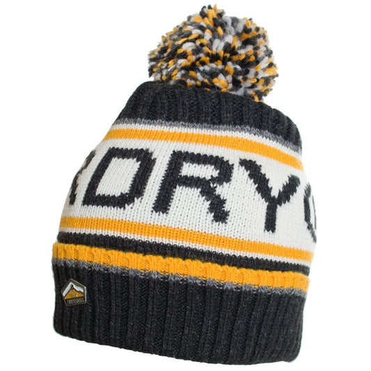 Superdry Logo Beanie