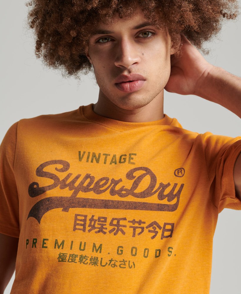 Superdry Graphic Logo T-Shirt