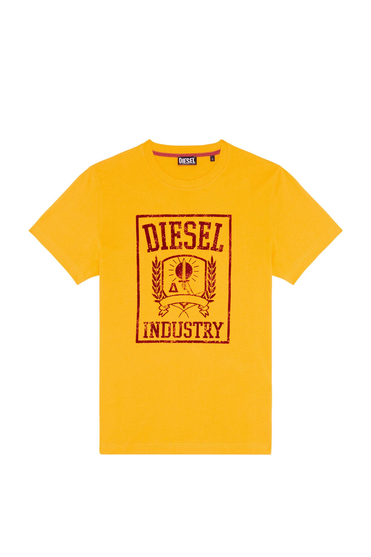 Diesel T-Diegor-E10 T-Shirt