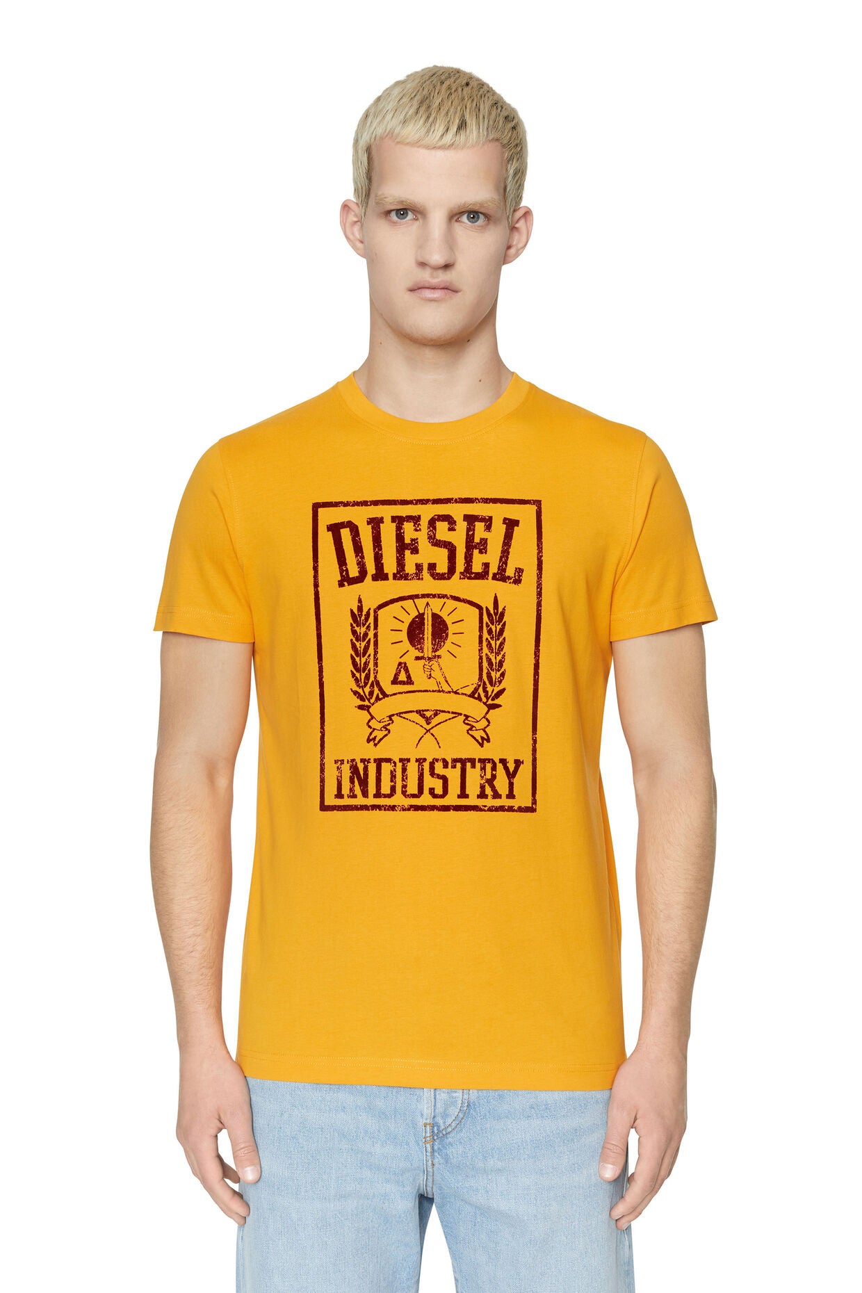 Diesel T-Diegor-E10 T-Shirt