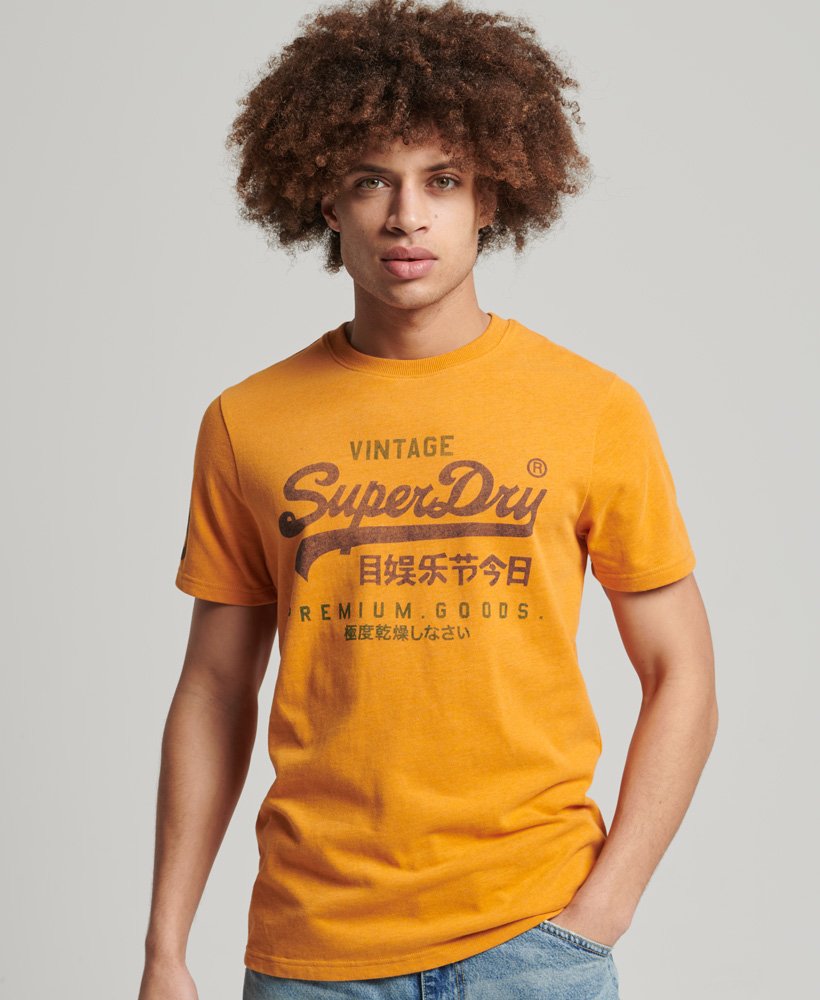 Superdry Graphic Logo T-Shirt